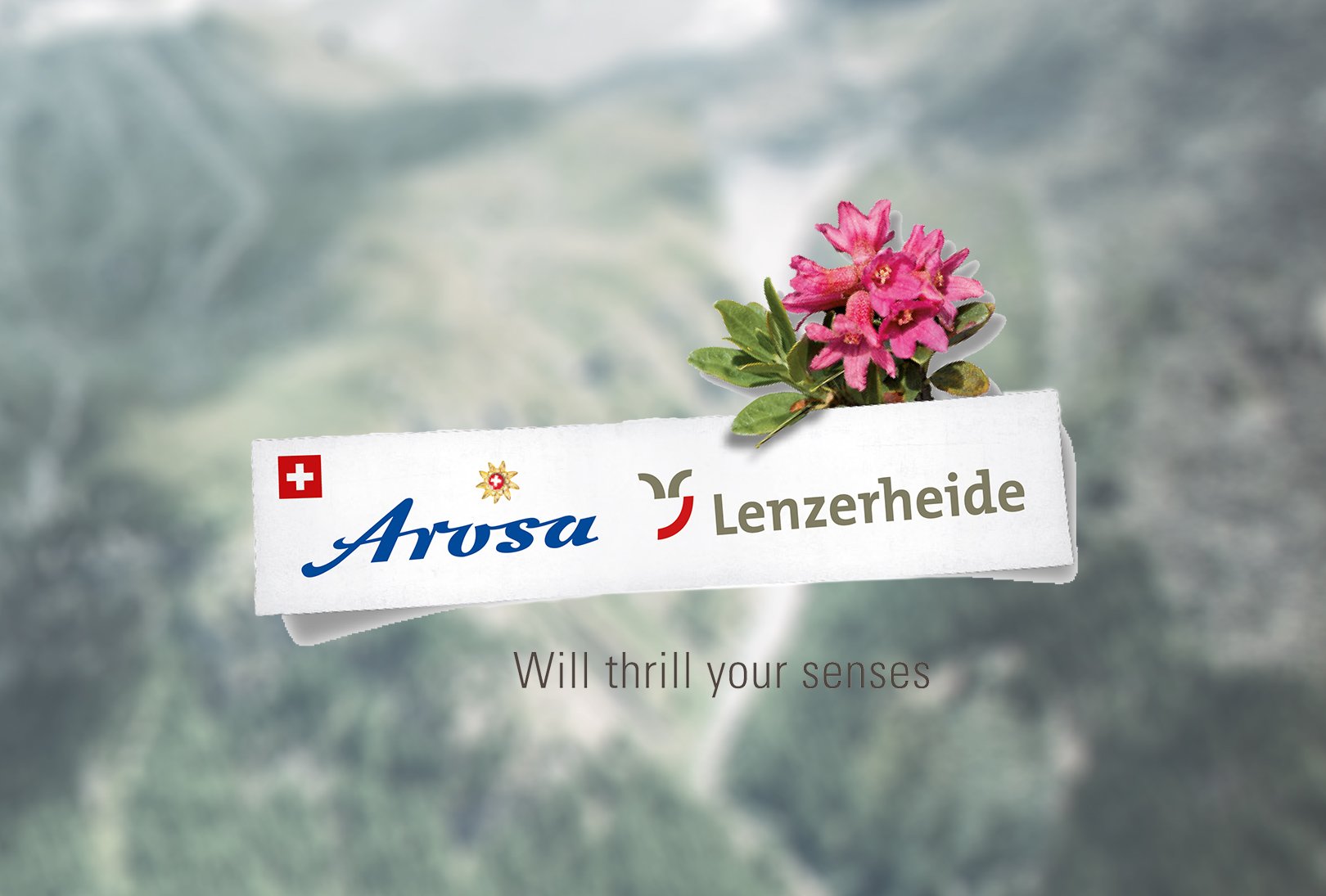 LP Zwitserland Arosa